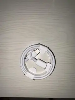 ホワイト USB-C 充電ケーブル