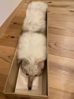 ブルーフォックス　ボアー　ファー