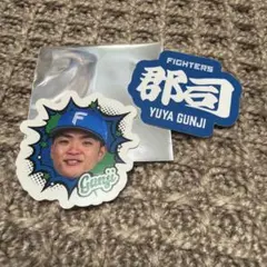 北海道日本ハムファイターズ　郡司裕也選手　選手だらけガチャ　ステッカー2枚セット