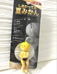 まっちゃん様 リクエスト 2点 まとめ商品 - メルカリ