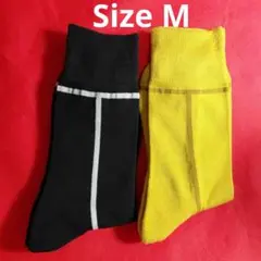 CHICSTOCKS メンズソックス　M 【ラインシリーズ】のサムネイル