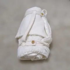 Item thumbnail for item cdb90b64-0f2d-4694-86f4-91b65b64aeb9