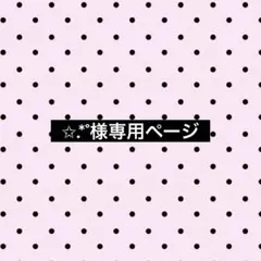 専用ページ