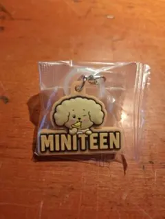 SEVENTEEN　MINITEEN 　ドギョム　ガチャ