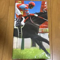 2025年最新】日本ダービー タオルの人気アイテム - メルカリ