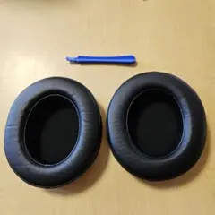 Item thumbnail for item f1955653-e7e9-4afd-90da-d34253278e6c