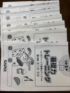 2026年最新】基礎力トレーニング サピックスの人気アイテム - メルカリ