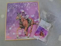 ジュウリョクピエロ×今村聖奈 色紙 アンブレラマーカー - メルカリ