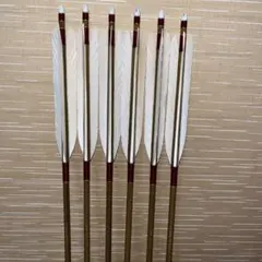 Item thumbnail for item 8b442842-0dea-49df-8287-a7cbfaa1009c