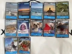 KAZ LIFE GOES ON フォトカード 12枚セット