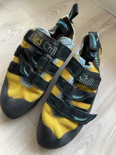 Item thumbnail for item 2c242da0-1f90-4651-b067-0abc63f20e3d