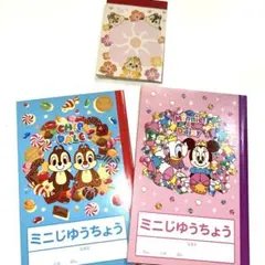 【未使用】ディズニー　チップデール　ミニーデイジーノート2冊　ミニメモ帳