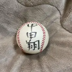 Fighters 中田翔　サインボール　公式試合用ボール Fighters 中田翔 サインボール 公式試合用ボール