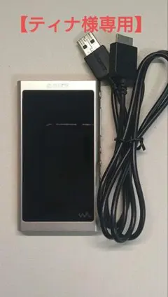 2026年最新】ソニー ウォークマン aシリーズ 16gb nw-a55の人気