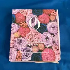 芦屋美整体 骨盤プロリセットショーツ シームレスフィット LL