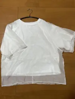 reca オーガンジー重ねラグラン半袖Tシャツ　サイズF 早い者勝ち