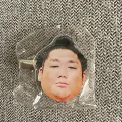 尊富士 ヘアピン 相撲