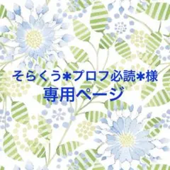 2026年最新】プロフ必読様専用の人気アイテム - メルカリ
