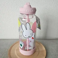 Item thumbnail for item a4d24039-279a-455f-a7c1-456ccffdf7c8