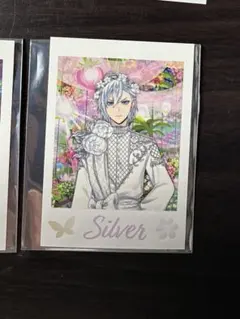 【M様専用】シルバーのブロマイド