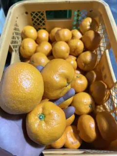 ♡YU♡断捨離中♡様　　専用となります！