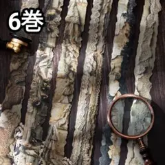 新！Q595 レトロレース風 テープ ステッカー コラージュ素材