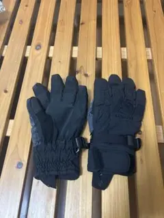 スキーグローブgore-tex