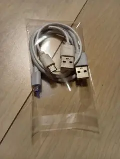 充電ケーブル typeB 短め 2本セット
