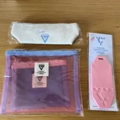 SEVENTEEN Carat 継続特典　メッシュポーチ　ペンケース　ラバータグ