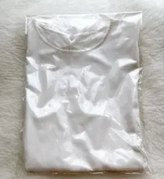 あなたしか見えないの 4番線ちゃん カットソー Lサイズ - メルカリ