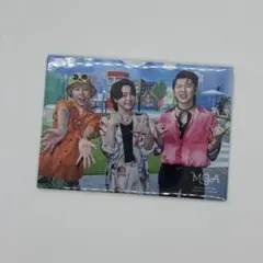 Mrs. GREEN APPLE フォトカード043 集合