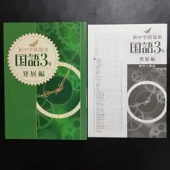 【2025最新版】新品　新中学問題集　国語3年　発展編　解答付