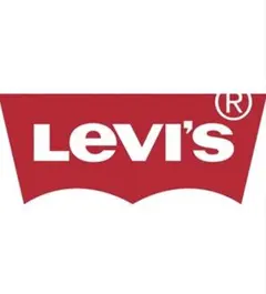 Levi's 501 ストレートデニム W30 L32