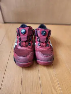 Item thumbnail for item 2c3606da-d474-4911-9af1-5691c5a37204