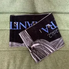 Item thumbnail for item 3706f326-9b89-466f-8568-cfff51adcc9b