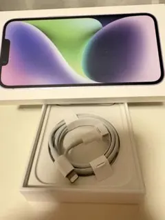 iPhone 充電器 純正 Apple正規品