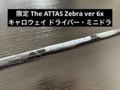 Item thumbnail for item fc57c211-aa16-45f5-884f-5d8d43ff46f0