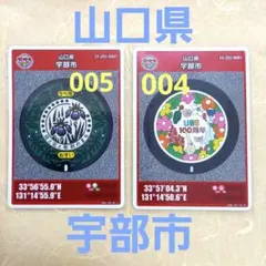 はまだしんいち様 リクエスト 2点 まとめ商品