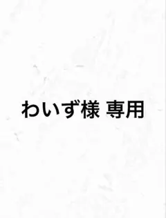 わいず様 専用