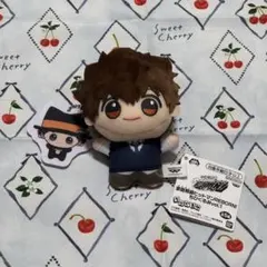 家庭教師ヒットマンREBORN リボーン ちびぐるみ 1 沢田綱吉 リボーン