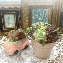 アンティーク風ブリキポット3色*そのまま飾れる多肉植物の寄せ植え