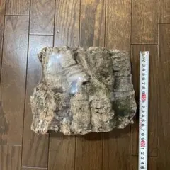 Item thumbnail for item 0eca664c-c7be-4b0e-b373-32a1f7cf9338