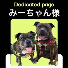 みーちゃん様専用