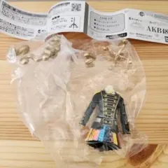 オサレカンパニー AKB48 カプセルトルソー第1弾 ヘビーローテーション