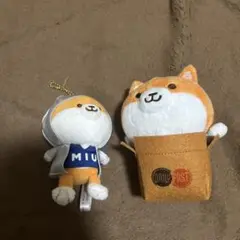 2025年最新】ポリまる ぬいぐるみの人気アイテム - メルカリ