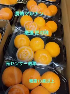 長崎マルナン「ハウスみかん」匠の味。約1.4キロ。冷蔵発送。※東北〜北海道は追加のサムネイル