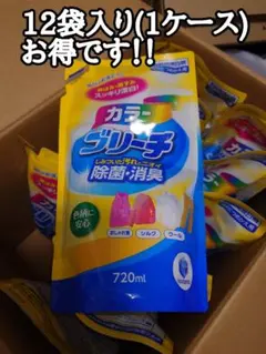 衣料用漂白剤　カラーブリーチ除菌・消臭(未使用品)　休日値下
