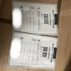 小学3年生 学力テスト