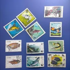 4984 外国切手 複数国 魚類 シリーズ 11種銷印有