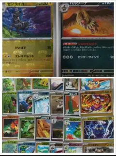 ゼブライカ バルジーナ マスボ Nの筋書き ビクティニ ランドロス モンボ